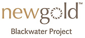 New Gold - Blackwater Project