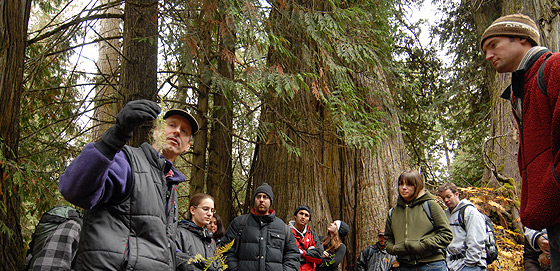 Darwyn Coxon teaching a course in the Ancient Forest.