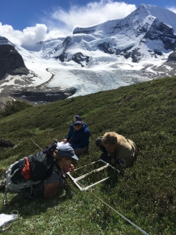 Alpine change monitoring in Mt. Robson Provincial Park