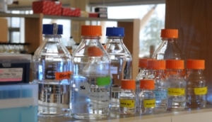 Lab bottles on a shelf