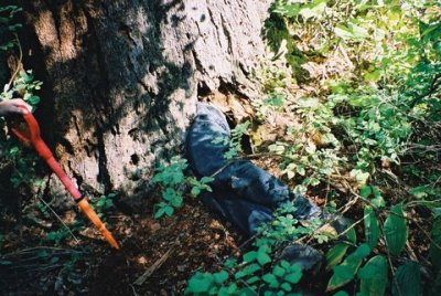 Student study an unoccupied bear den