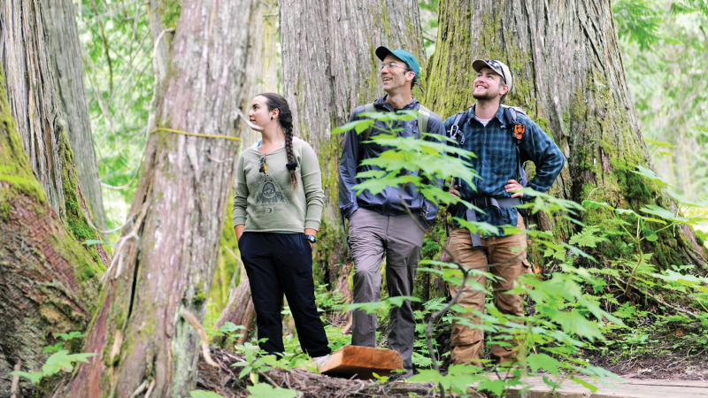 UNBC students doing a field study in the forest