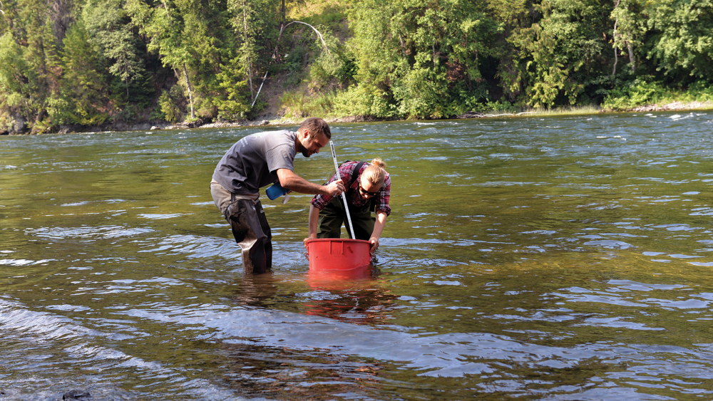 Student researchers in the river