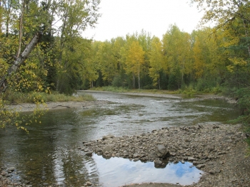 Horsefly River in fall