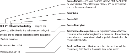 course descriptions diagram