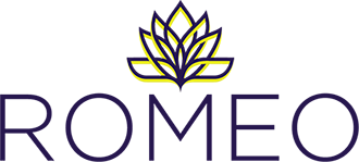 ROMEO Research Portal logo