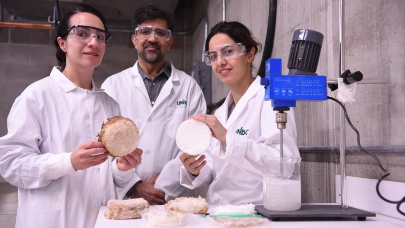 Dr. Nasim Ghavidel (from left), Dr. Hossein Kazemien and Helena Mirzabeigi in lab coats hold circular samples of wood-based foam