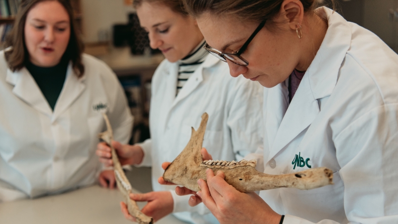 Students examine a bone in a lab