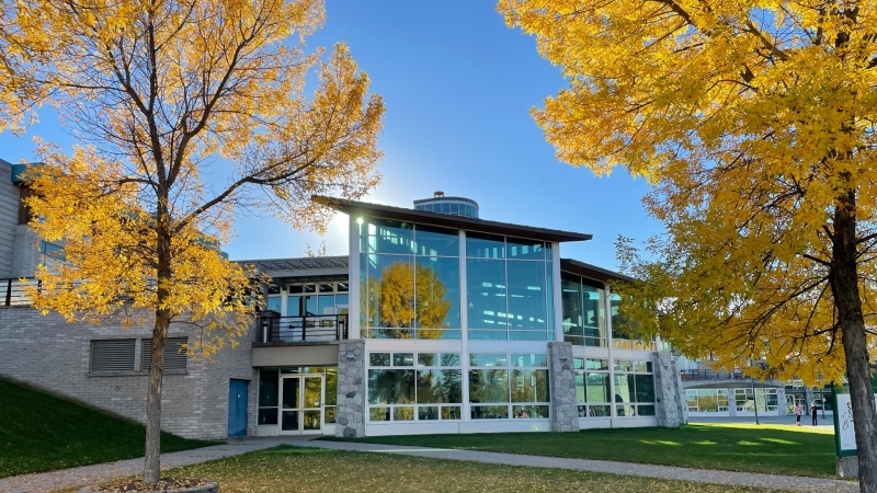 Fall colours on UNBC's Prince George campus with yellow leaves on trees in front of the cafeteria. 