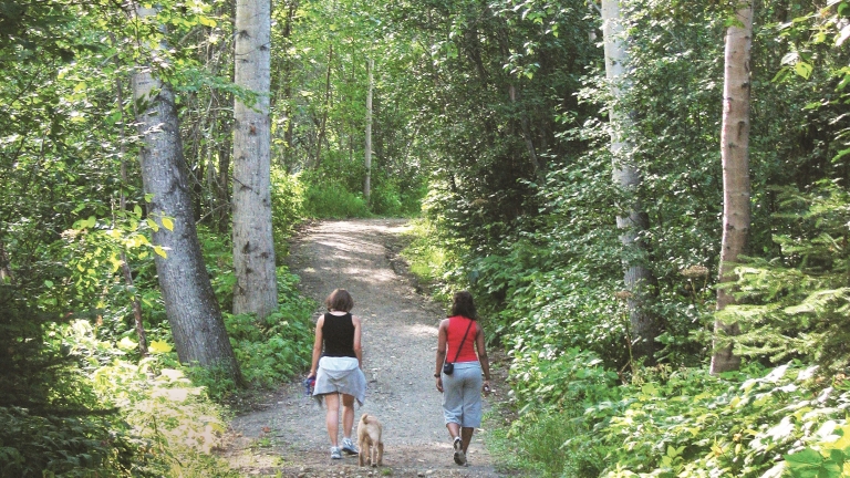 UNBC students walking in a wooded area 