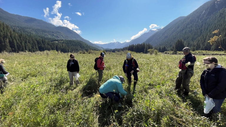 UNBC students conducting field research for wildland conservation