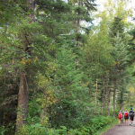 Forests for the World is located just behind the Prince George campus and provides over 25 kilometers of trails for hiking and biking, skiing and snowshoeing.
