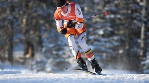 Nordic skier in red and white ski suit slightly crouched. Trees in background.