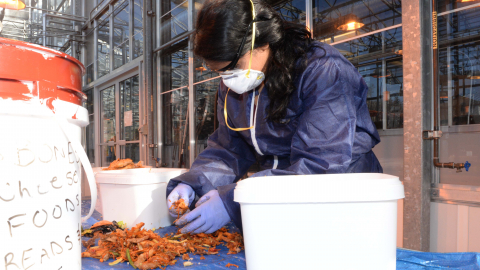 Jessy Rajan sorting food waste