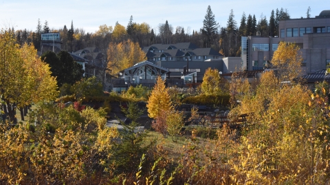 UNBC Prince George campus in fall colours