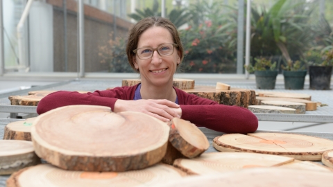 Person wearing purple t-shirt and red sweater rests arms on edge of a table displaying tree ring wedges.